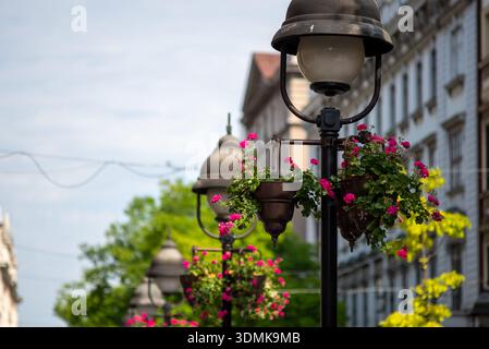 Lampioni decorativi con cesti di fiori appesi su una strada di città europea, profondità di campo bassa, atmosfera primaverile o estiva, beautificati urbani Foto Stock