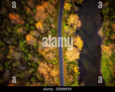 Vista aerea di una strada tortuosa accanto a un fiume circondata da alberi autunnali che mostrano vibranti foglie dorate e verdi alla luce soffusa del sole. Foto Stock