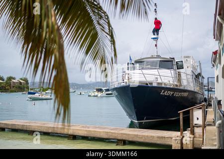 Lady Venture Yacht Man on Mast Palm Fronds Cruz Bay Stati Uniti / CRUZ BAY, Isole Vergini americane — Un membro dell'equipaggio esegue la manutenzione in alto sull'albero della nave "Lady Venture", ormeggiata nel porto e incorniciata dalle fronde di una palma da cocco (*Cocos nucifera*). Essendo il principale porto per l'isola di St. John, Cruz Bay è il principale punto di accesso al Parco Nazionale delle Isole Vergini, che protegge oltre il 60% dell'ecosistema subtropicale della foresta secca dell'isola. Foto Stock