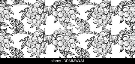 Motivo senza cuciture con frutta tropicale longan. Ramo di longan con frutti interi in stile vintage lineare. Può essere utilizzato per tessuti da cucina, carte da parati in stile botanico, carte da imballaggio. Illustrazione Vettoriale