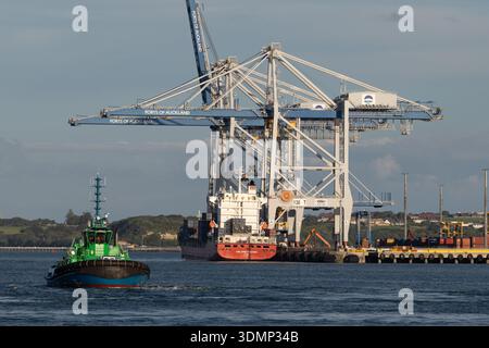 Tugboat che opera nel porto di Auckland con gru container e infrastrutture portuali sullo sfondo, Auckland, nuova Zelanda. Foto Stock