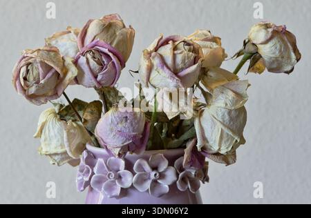 Bouquet di rose morte selvagge in vaso viola vintage con sfondo bianco. Foto Stock
