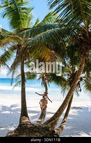 Le rive baciate dal sole di Anse Patates a la Digue mostrano una tranquilla scena balneare. I visitatori si crogiolano sotto palme ondeggianti, godendosi una fuga tropicale Foto Stock