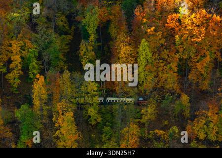 LILLAFURED, UNGHERIA - 29 OTTOBRE 2025: Piccolo treno forestale (LAEV) in una vibrante foresta autunnale, i Monti Bukk. Vista ad alto angolo del fogliame panoramico delle cascate. Foto Stock