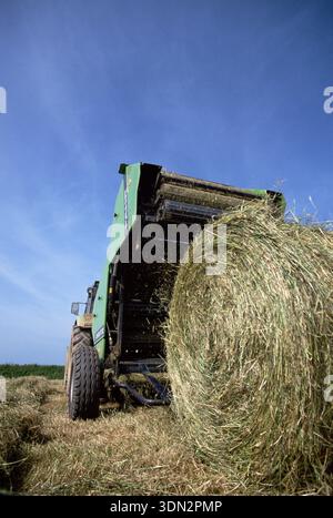 L'imballatrice grande funziona mostrando una grande balla rotonda di foraggio insilato o fieno. A volte avvolte in plastica per rendere l'insilato o immagazzinato asciutto per preparare il fieno. Foto Stock