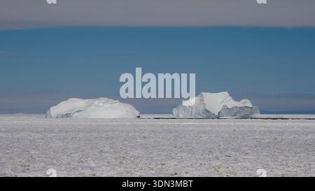 Ghiaccio marino e iceberg, Crystal Sound, Antartide. Foto Stock