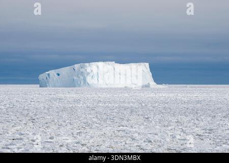 Ghiaccio marino e iceberg, Crystal Sound, Antartide. Foto Stock