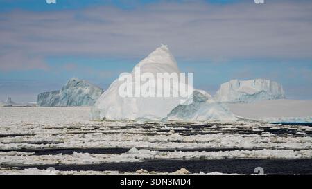 Ghiaccio marino e iceberg, Crystal Sound, Antartide. Foto Stock