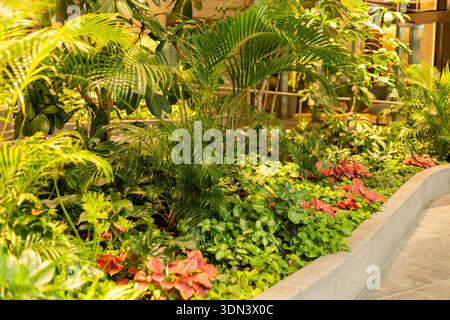 Luminoso giardino interno pieno di diversi tipi di piante e fiori. La scena presenta una vegetazione lussureggiante e colori vivaci. Luce naturale del sole Foto Stock