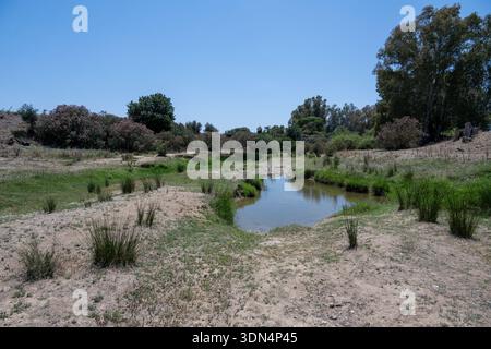 Un tranquillo paesaggio caratterizzato da un piccolo ruscello circondato da vegetazione lussureggiante e terra asciutta sotto un cielo blu limpido Foto Stock