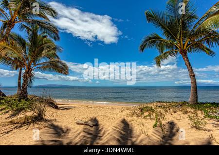 Le palme fanno da cornice a una tranquilla spiaggia di Maui con vista verso Kahoolawe e Lānaʻi, dove le dolci onde si incontrano con la sabbia dorata sotto cieli e nuvole blu. Foto Stock
