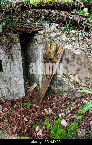 Porta di pietra abbandonata nelle rovine della foresta ricoperte di muschio con foglie cadute Foto Stock
