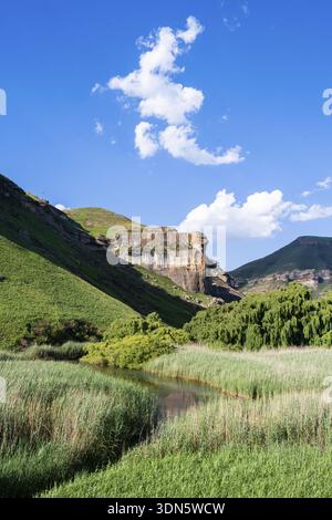 Prateria con scogliere e scogliere di arenaria, paesaggio nel Golden Gate Highlands National Park, Free State, Sudafrica Foto Stock