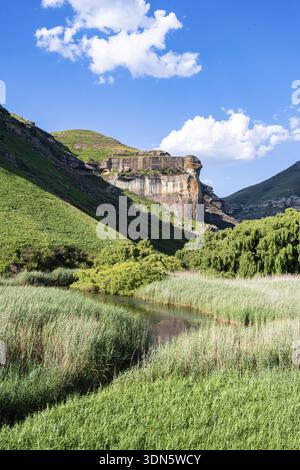 Prateria con scogliere e scogliere di arenaria, paesaggio nel Golden Gate Highlands National Park, Free State, Sudafrica Foto Stock