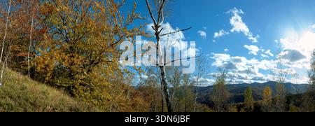 Paesaggio naturale panoramico, colori pastello tenui, natura da sogno, sfondo autunnale al tramonto, panorama naturale tranquillo e sorprendente Foto Stock