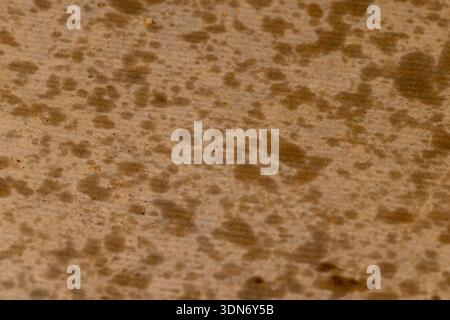 macchie di olio sulla carta da imballaggio degli alimenti dopo che la carta conteneva patatine croccanti fritte in profondità Foto Stock