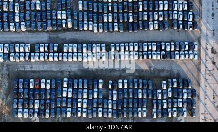 Le nuove auto parcheggiate in un vasto lotto si preparano per la distribuzione Foto Stock