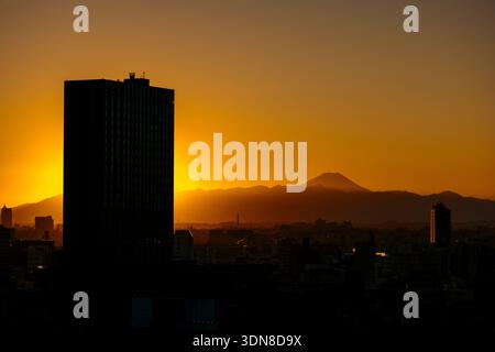 Silhouette di grattacieli della città con un tramonto vibrante con una montagna sullo sfondo. Tokyo, Giappone Foto Stock