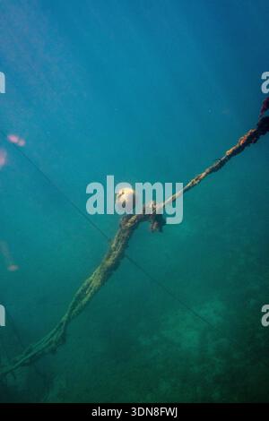 Una linea di ormeggio sommersa e boa ricoperta di alghe in acqua blu sopra il fondo marino del Mediterraneo, Munxar, Gozo, Malta 17 ottobre 2025. La sce Foto Stock