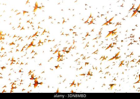La Namibia è un paese desertico con paesaggi mozzafiato e splendidi paesaggi Foto Stock