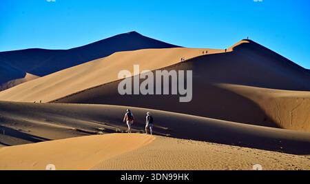 La Namibia è un paese desertico con paesaggi mozzafiato e splendidi paesaggi Foto Stock