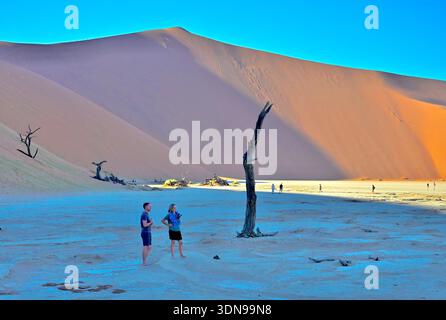 La Namibia è un paese desertico con paesaggi mozzafiato e splendidi paesaggi Foto Stock