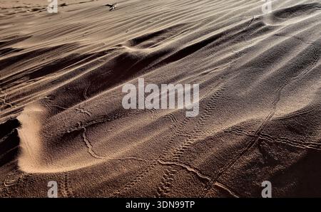 La Namibia è un paese desertico con paesaggi mozzafiato e splendidi paesaggi Foto Stock