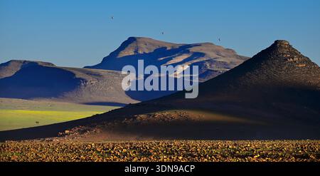 La Namibia è un paese desertico con paesaggi mozzafiato e splendidi paesaggi Foto Stock