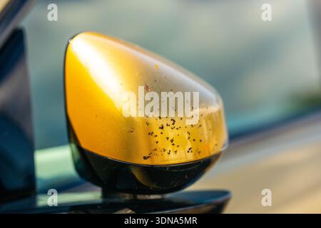 Spruzzo di insetti morti su uno specchio d'auto dorato Foto Stock