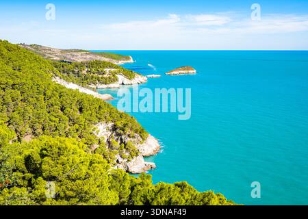 Vista panoramica della costa del Gargano con mare turchese e scogliere rocciose ricoperte di pineta, Puglia, Italia Foto Stock