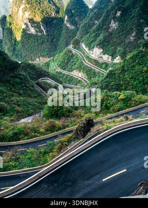 Veduta aerea della tortuosa strada di montagna per la grotta di Tianmen, conosciuta come la porta del Paradiso, a Zhangjiajie, Cina. Autostrada panoramica a serpentina circondata da una lussureggiante Foto Stock
