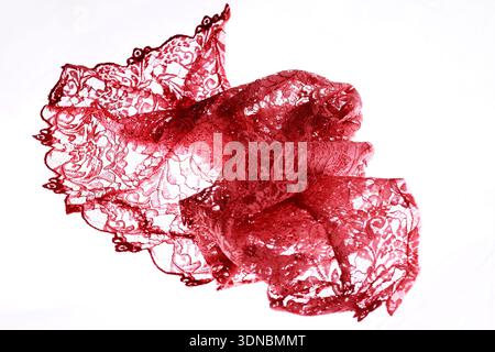 Tessuto in broccato rosso con sfondo bianco. Foto Stock