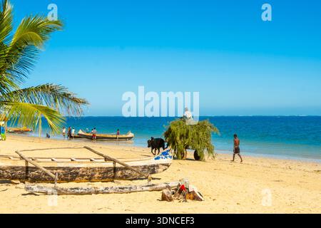 Madagascar, regione di Atsimo-Andrefana, Ifaty, paese di Vezo, spiaggia di Mangily, trasporto di fieno su un carrello per buoi Foto Stock
