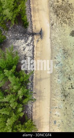 Vista aerea del sentiero sabbioso che divide gli alberi verdi e le acque poco profonde e limpide, Eleuthera, Bahamas. Foto Stock