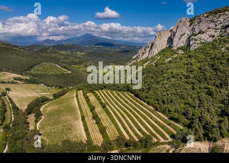 Francia, Vaucluse, Dentelles de Montmirail, montagna delle Dentelles Sarrasines e vigneti terrazzati, Mont Ventoux sullo sfondo (vista aerea) Foto Stock
