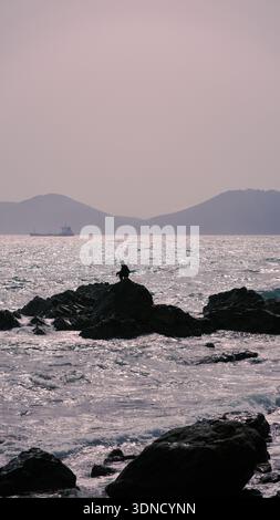 Una foto grandangolare con la silhouette di una persona che pesca su rocce marine aspre. L'acqua scintillante dell'oceano crea un bellissimo effetto scintillante in t Foto Stock
