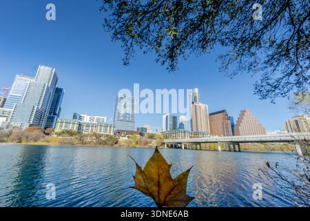 Una foglia galleggia sulla superficie di un lago di fronte allo skyline della città. La foglia è un simbolo del cambiamento delle stagioni e della bellezza della natura. Il cit Foto Stock