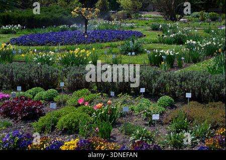 Vista di splendidi alberi e fiori all'interno del Giardino Botanico dell'Università Jagellonica di Cracovia, Polonia. Foto Stock