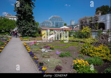 Vista di splendidi alberi e fiori all'interno del Giardino Botanico dell'Università Jagellonica di Cracovia, Polonia. Foto Stock