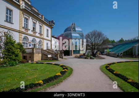 Vista dell'edificio del Museo presso il Giardino Botanico dell'Università Jagellonica a Cracovia, Polonia. Foto Stock