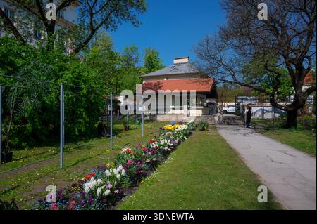 Vista del Giardino Botanico dell'Università Jagellonica di Cracovia, Polonia. Foto Stock
