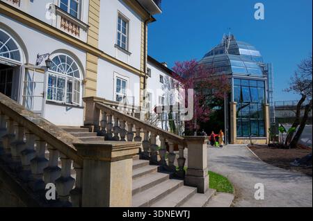 Vista dell'edificio del Museo presso il Giardino Botanico dell'Università Jagellonica a Cracovia, Polonia. Foto Stock
