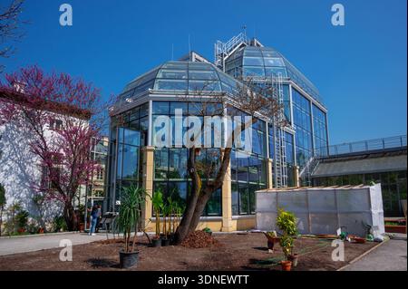 Vista dell'edificio della serra presso il Giardino Botanico dell'Università Jagellonica a Cracovia, Polonia. Foto Stock