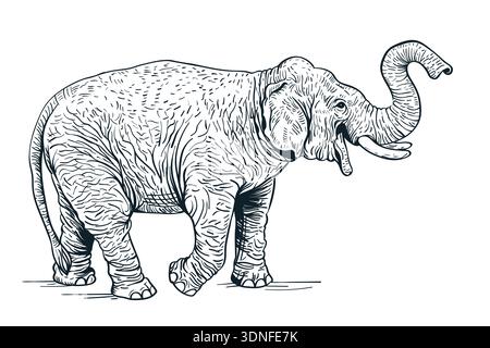 Disegno dell'elefante. Illustrazione animale dello schizzo vettoriale isolata su sfondo bianco. Stampa alla moda o elemento di design per poster Illustrazione Vettoriale