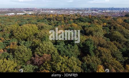 Vista aerea che guarda attraverso il bosco autunnale verso lo skyline di Liverpool all'orizzonte Foto Stock