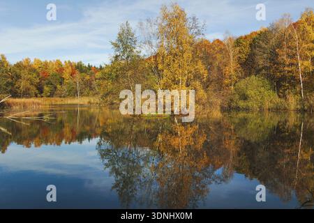 Piccolo lago forestale con magnifici colori autunnali che si riflettono nell'acqua, in Germania, Baviera, Isental Foto Stock