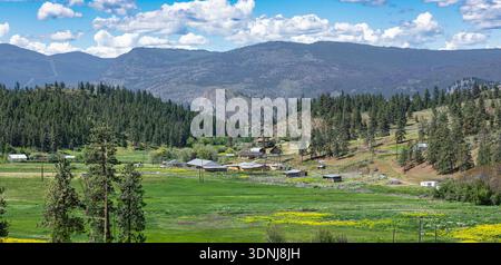 Splendido paesaggio del piccolo villaggio nella campagna del Canada circondato da foreste e montagne. Valle verde con piccolo insediamento, terreno agricolo in campagna o Foto Stock