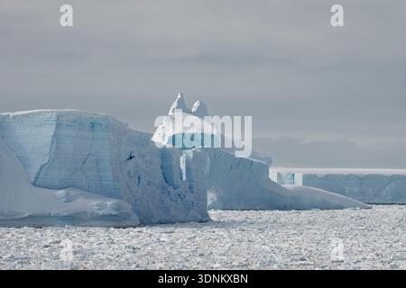 Ghiaccio marino e iceberg, Crystal Sound, Antartide. Foto Stock
