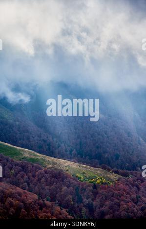 Suggestivo paesaggio caratterizzato da lussureggianti montagne verdi bagnate dalla luce soffusa del sole, in contrasto con il vibrante fogliame autunnale della foresta sottostante. Le nuvole spesse passano sopra, generando ombre. Foto Stock