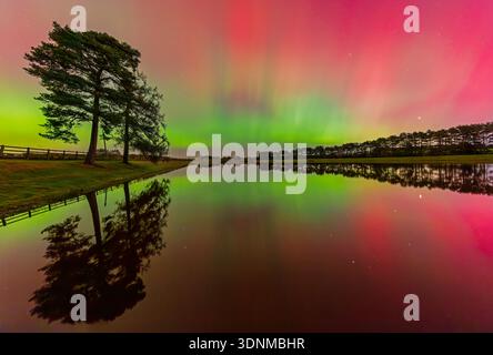 Una vista in autunno di notte al lago artificiale Whittle Dene nel Northumberland con l'aurora boreale (Aurora Boreale) che danzano sullo sfondo Foto Stock